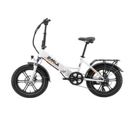 Aostirmotor 750W Electric Bike