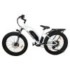 AOSTIRMOTOR 26 750W Camouflage Electric Bike Fat Tire P7 48V 12.5AH Removable - Default