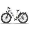 Electric Bike Fat Tire