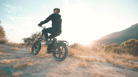 ZHENGBU EUY F7 20 750W 48V 16AH Shimano 7 Speed Folding Fat Tire Electric Bike - 750W - 16AH