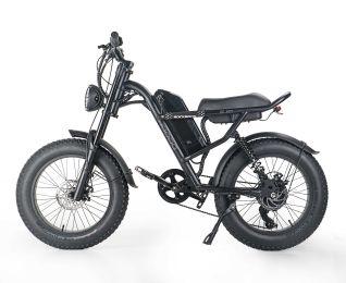 EMB009 New Design 500W Mountain Electric Bicycle Out Door With Fat Tiire Ebike - black