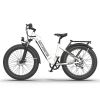 1000W Electric Bike Fat Tire