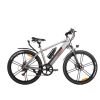 350W Electric Bike 26x4'' Fat Tire Mountain Ebike 48V 10Ah 6 Speeds Snow Beach Electric Bicycle for Adults - Grey