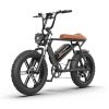 AOSTIRMOTOR new pattern Electric Bicycle 750W Motor 20" Fat Tire