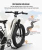 Electric Bike Fat Tire