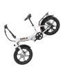 Aostirmotor 750W Electric Bike