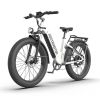 Electric Bike Fat Tire