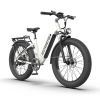 Electric Bike Fat Tire