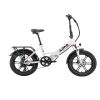 Aostirmotor 750W Electric Bike