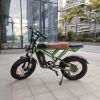 EMB002 Pro Fat Tires Off Road Electric Bike 1400W Powerful Motor 7 Speed Gears - green