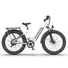 1000W Electric Bike Fat Tire