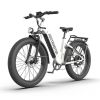 1000W Electric Bike Fat Tire