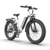 1000W Electric Bike Fat Tire