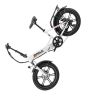 Aostirmotor 750W Electric Bike