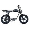 Dynalion Electric Bike for Adults 1000W, 20 Inch Fat Tire Ebike 32 MPH & 45 Miles Long Range Off Road Snow Urban Commuter E Bike, 48V 16AH - as Pic