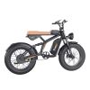EMB001 Fat Tires Off Road Electric Bike  1200W Powerful Motor - black