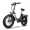 ZHENGBU EUY F7 20 750W 48V 16AH Shimano 7 Speed Folding Fat Tire Electric Bike - 750W - 16AH