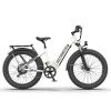 Electric Bike Fat Tire