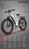 Electric Bike Fat Tire