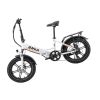 Aostirmotor 750W Electric Bike