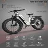 1000W Electric Bike Fat Tire