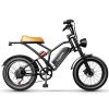 EUY S4 1000W 48V 25AH electric bike 20 inch fat tire bicycle beach cruise e-bike all terrain off-road ebike for Adults - Black