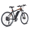 26 Mountain Electric Bike for Adults Aluminum Alloy Frame 350W Motor 48V 12.8AH - Default