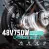 ZHENGBU EUY F6 20 Inch 750W 48V 15AH 18AH 20AH Shimano 7 Speed Folding E Bike Fat Tire Electric Bike - 750w - 18ah