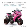 Electric motorcycle