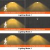Solar Barn Light